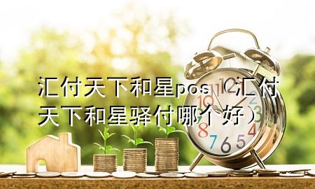 汇付天下和星pos（汇付天下和星驿付哪个好）