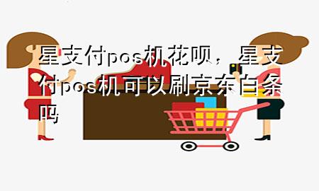 星支付pos机花呗，星支付pos机可以刷京东白条吗