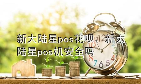 新大陆星pos花呗，新大陆星pos机安全吗