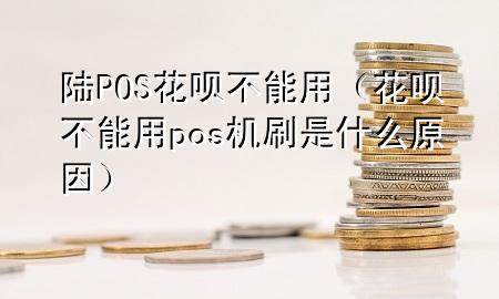 陆POS花呗不能用（花呗不能用pos机刷是什么原因）