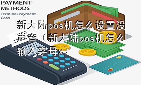 新大陆pos机怎么设置没声音（新大陆pos机怎么输入字母x）