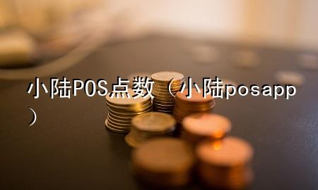 小陆POS点数（小陆posapp）