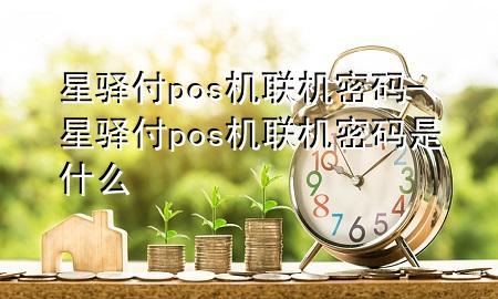 星驿付pos机联机密码-星驿付pos机联机密码是什么