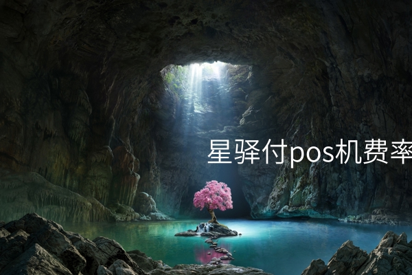 星驿付POS机费率：如何更优惠地支付消费