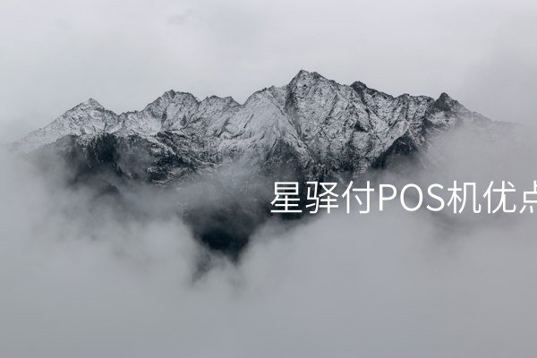 星驿付POS机：专业支付设备，安全快捷！ 