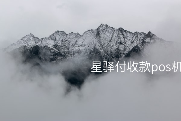 星驿付收款Pos机——简单易用的收银解决方案