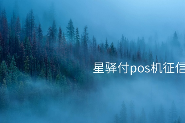 星驿付POS机——释放支付活动潜力