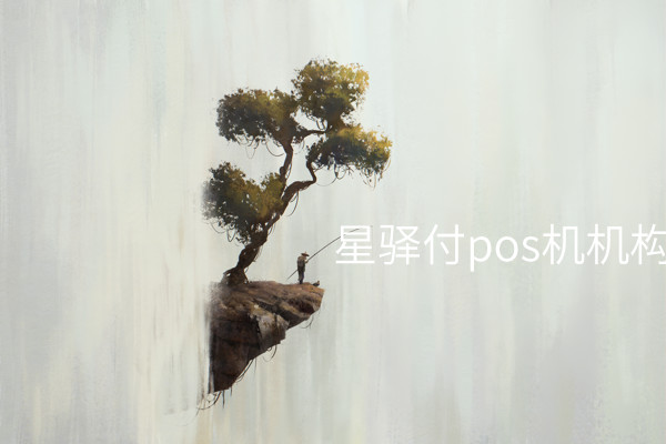 星驿付Pos机——引领业界支付标准的金融服务机构