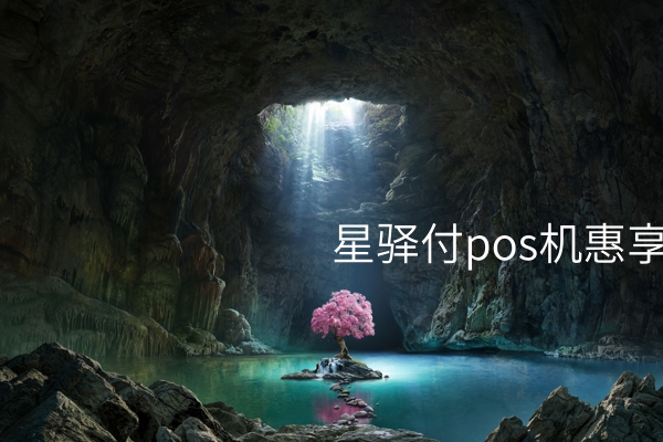 星驿付POS机惠享费率有哪些？