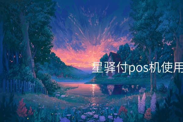 星驿付POS机操作快速指南