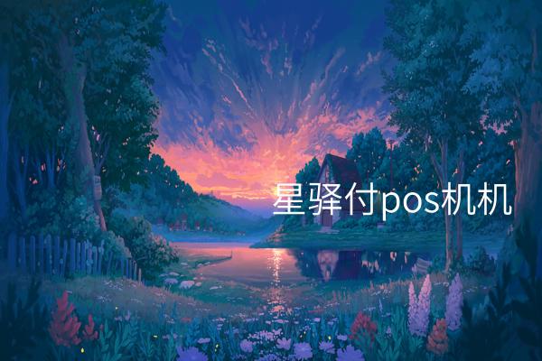 星驿付 ——让你的POS机变得更强大