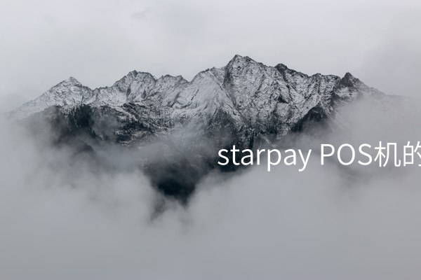  starpay POS机的利息及其作用